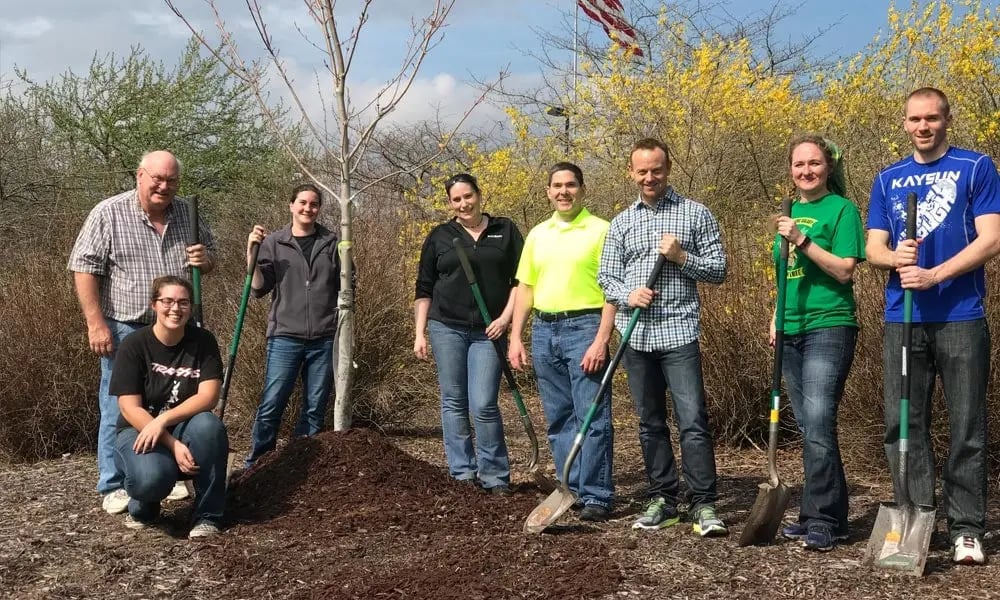 Kaysunn employees planting trees